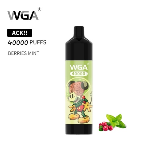 E-Papieros WGA 40 000 Berries Mint