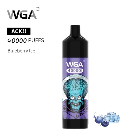 E-Papieros WGA 40 000 Blueberry Ice