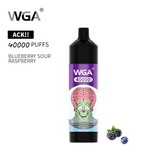 E-Papieros WGA 40 000 Blueberry Sour Raspberry