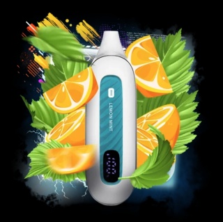 Jednorazowy E-Papieros Flonq Max Smart 12000 Lemon Mint