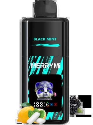 Papierosy Jednorazowe Merry Mi Mecha Pro 35 000 Black Mint